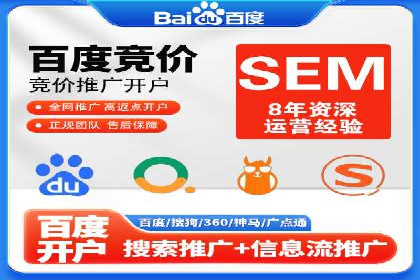 百度竞价广告案例分析：成功之道揭秘